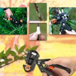 MASTERCUT_UPSELL_FINAL