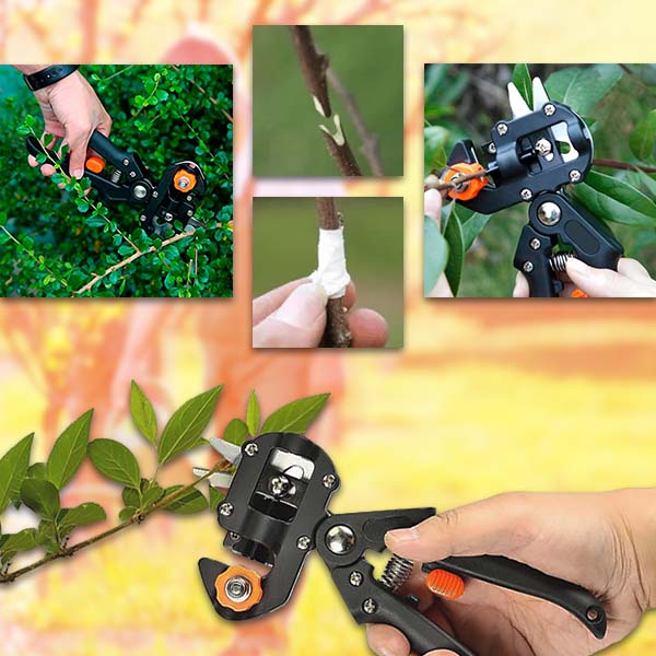 MASTERCUT_UPSELL_FINAL