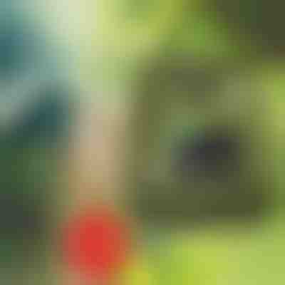 Ducha portátil | SHOWDY