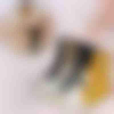 Calcetines de huella de gato (3 uds) | GATOSOCKS