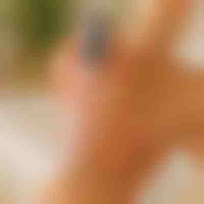 Talones agrietados suaves en 5 minutos | PEDIVIA